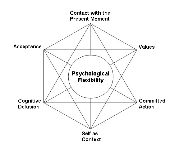A diagram of the hexaflex, a good way to think about the processess in Acceptance and Commitment Therapy.